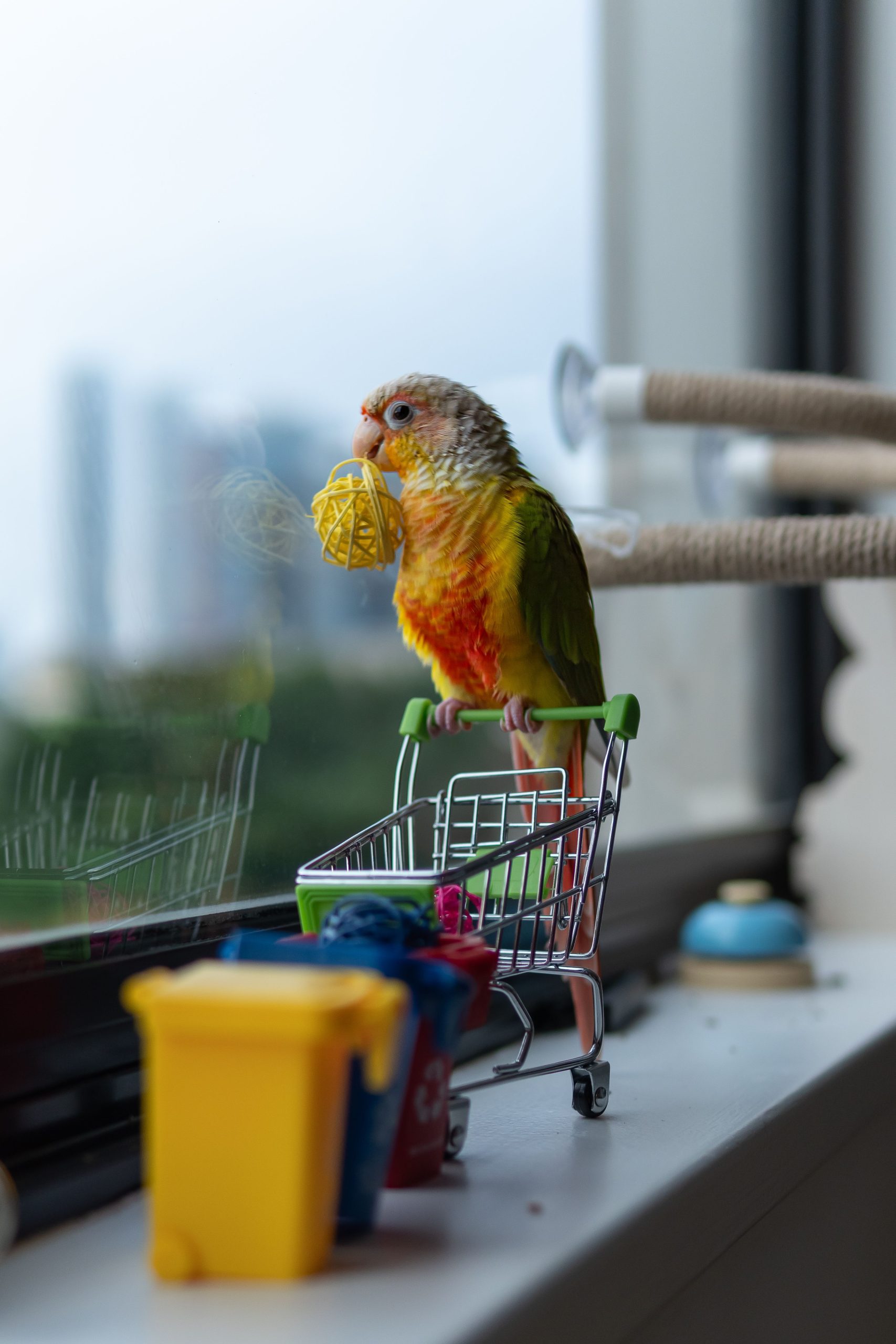 pexels-talharesitoglu-36653130